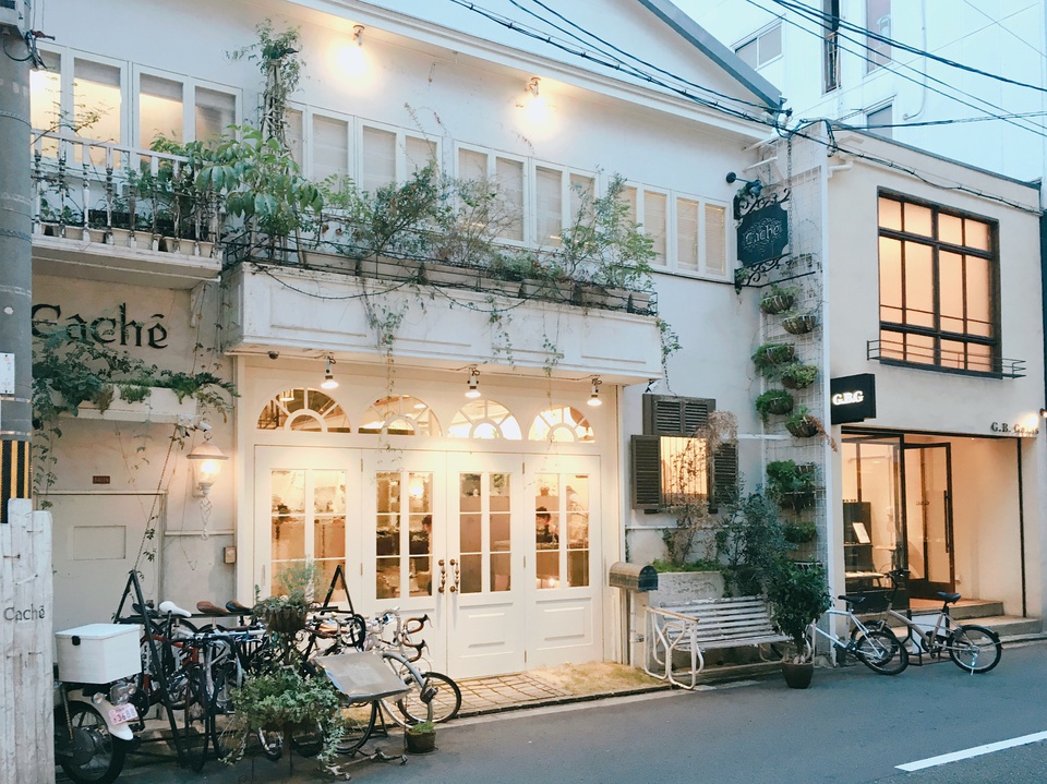 璞嗙摚鏃ヨ鍗楁柟鍖楁柟,璞嗙摚鏃ヨ鍥炲鎸囧崡