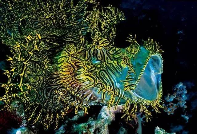 鍥藉鍦扮悊鏉傚織缇庡浘,鍥藉鍦扮悊鏉傚織楂樻竻澶у浘