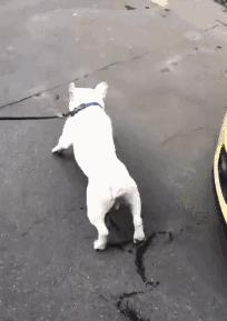 《谁是老司机》普通人的鞋柜是这样的，而改装车玩家的“鞋”是这样的……