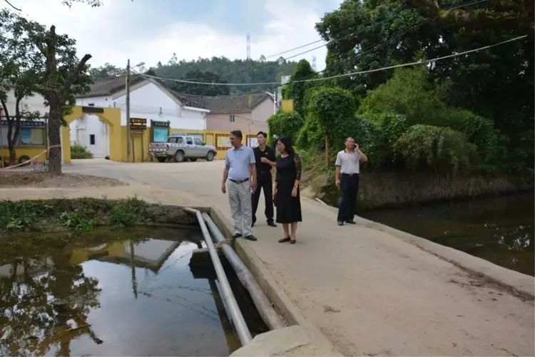 关于特别防护期出行指南的通告,防控特别行动