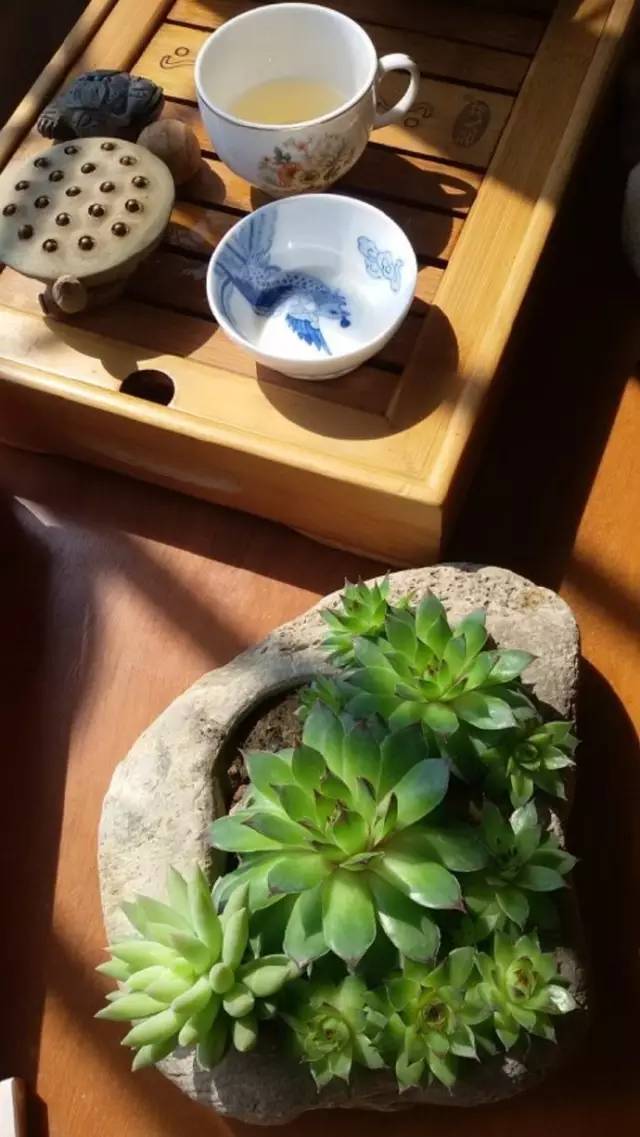 养生音乐56首免费下载,失传已久的56首养生曲视频