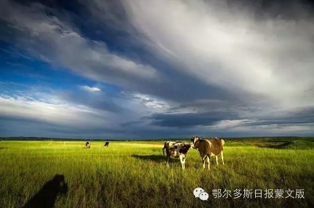 广州到黄山最便宜的航班,99元飞黄山
