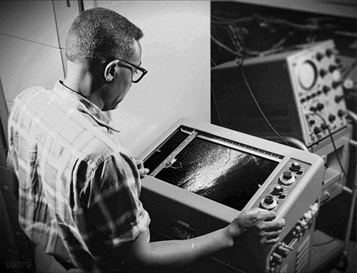 搞笑诺贝尔奖猫咪,关于猫的诺贝尔搞笑奖