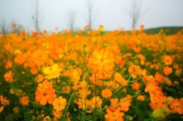 余杭10月份最美小众景点,余杭必去十大景点推荐