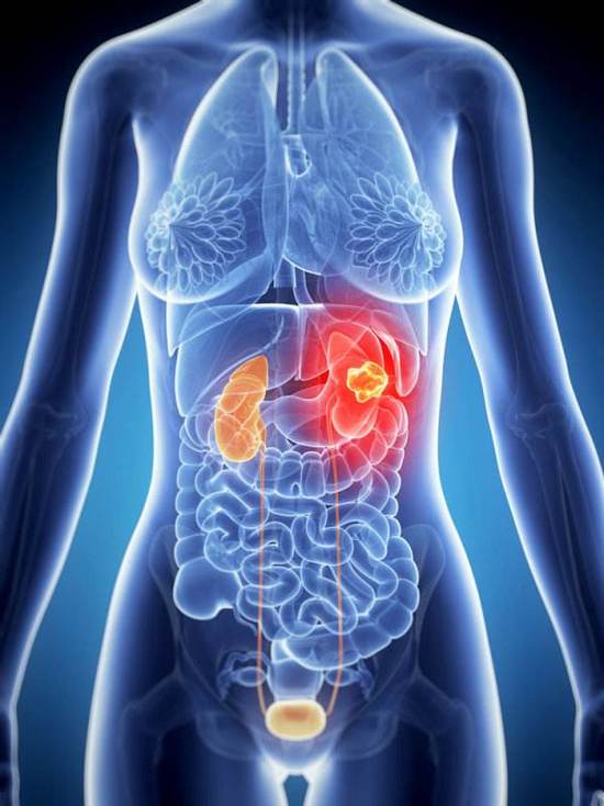 怎么知道不舒服挂哪个科,一般不舒服挂哪个科的号