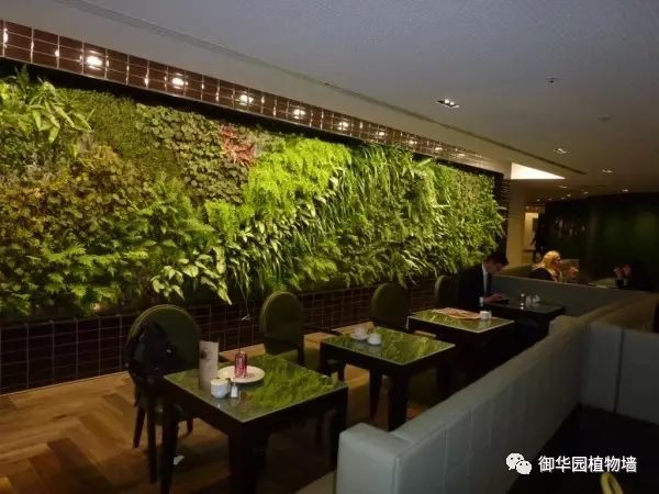 陕西休闲场所植物墙设计,河北休闲场所植物墙施工