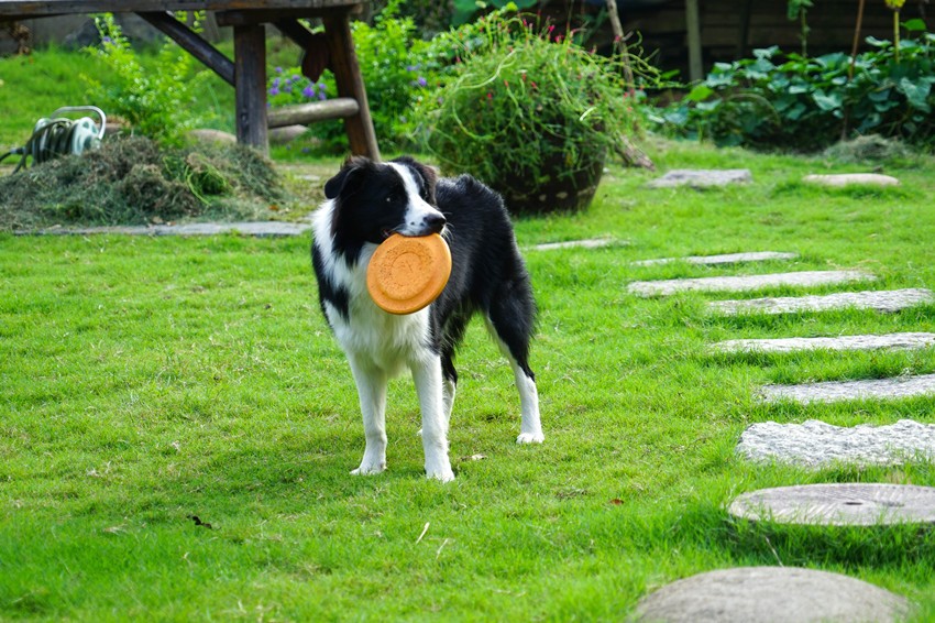 3天2夜!秋日带你去这座绝美山城体验不一样的“慢旅行”!