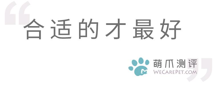 便宜好用膨润土,松木很不好吗