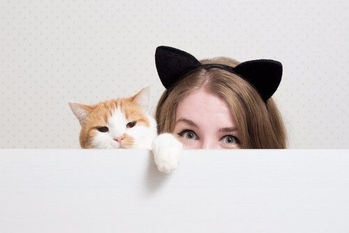 猫耳朵的特别之处,猫耳朵的秘密有多可怕