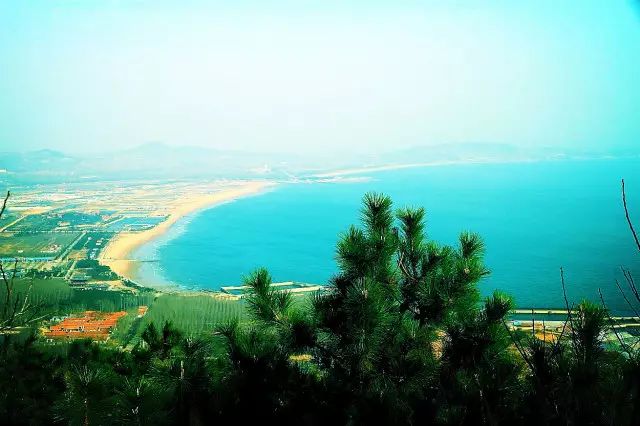 灞变笢鐪侀潚宀涘競鐞呯悐鍙伴鏅尯,鐞呯悐鍙伴鏅尯闈掑矝