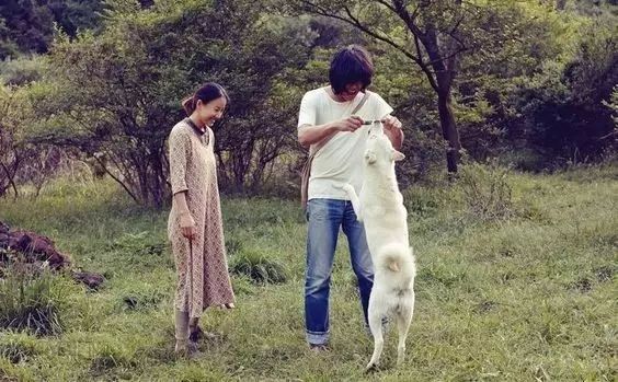 移居海岛的真实感受,移居海岛真实感受