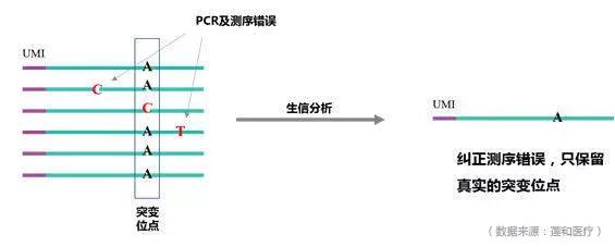 癌症诊断准确率近90%！厚积薄发下的液体活检技术即将迎来春天！