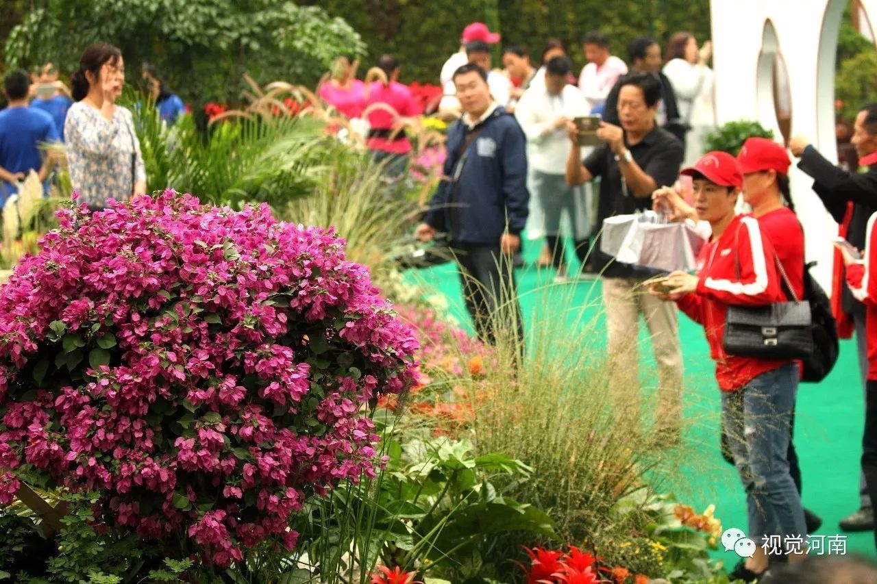 鄢陵2023花博会开幕式实况,河南许昌鄢陵花博会