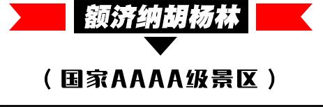 国庆额济纳旗旅游攻略,阿拉善国庆节游玩