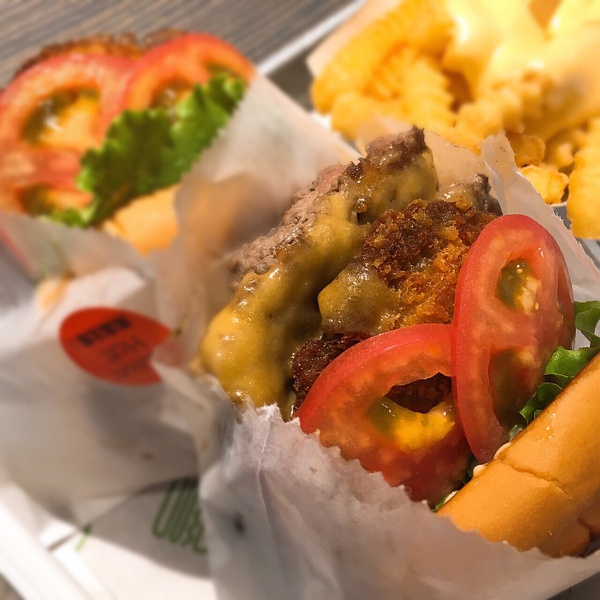 璞嗙摚鏃ヨ鍥炲鎸囧崡,璞嗙摚鏃呮父鏃ヨ