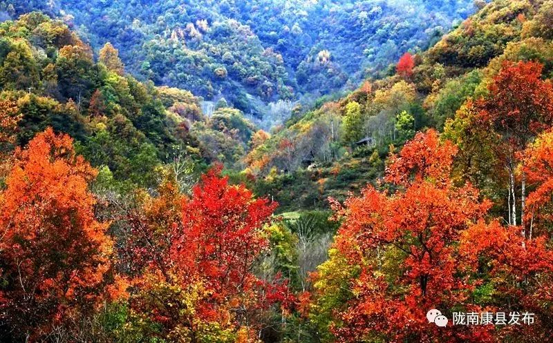 康县美丽的秋天,新县醉美秋景
