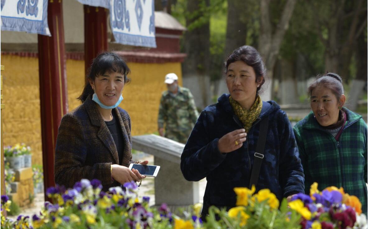 群芳争艳“宝贝园林”罗布林卡