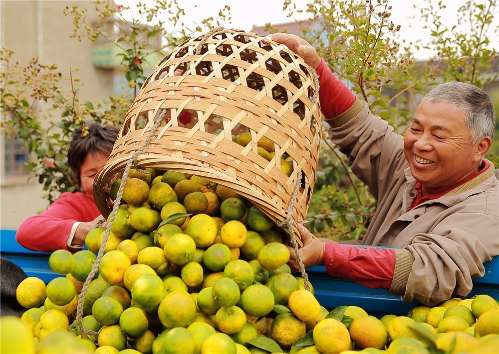 浙江省最低调的一个县,浙江有一座低调的小城