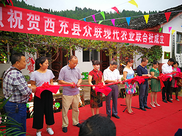 众联联合社,众联农业合作社