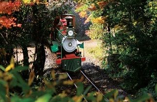 韩国旅游冬季济州岛好玩吗,韩国旅游攻略济州岛购物