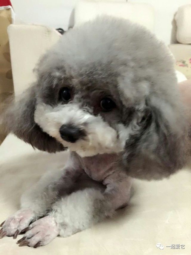 宠爱故事完整版,宠爱背景故事