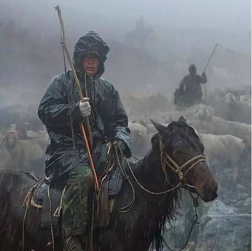 各种摄影题材大全,摄影哪种题材容易震撼人心