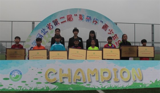 冀萌杯比赛,河北省冀萌杯