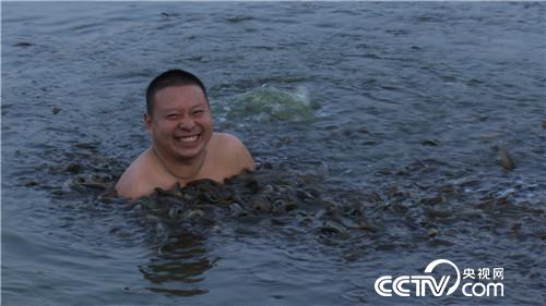 台湾大泥鳅养殖前景价值,台湾大泥鳅一年长多少