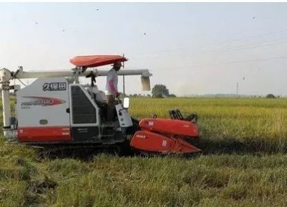 红谷十二庭现状,红谷十二庭四期装修