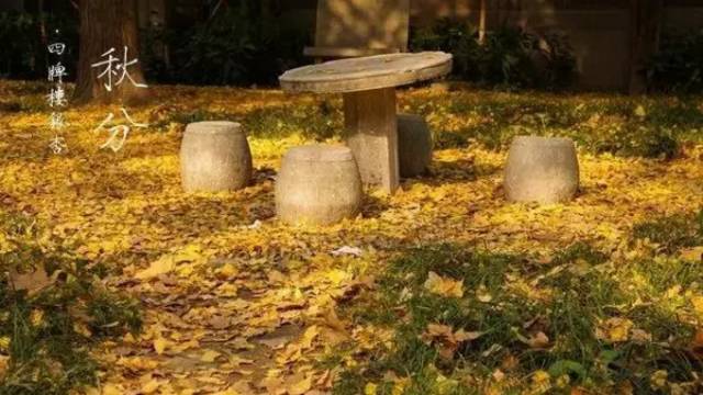 二百块钱玩南京一天,南京有哪些不要钱的游玩地方