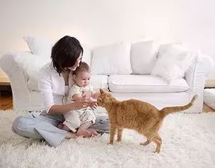 吓人!宁波六旬老伯常见“诡异”黑影,有形状但摸不着!真相竟和“它”有关!你家可能也有……