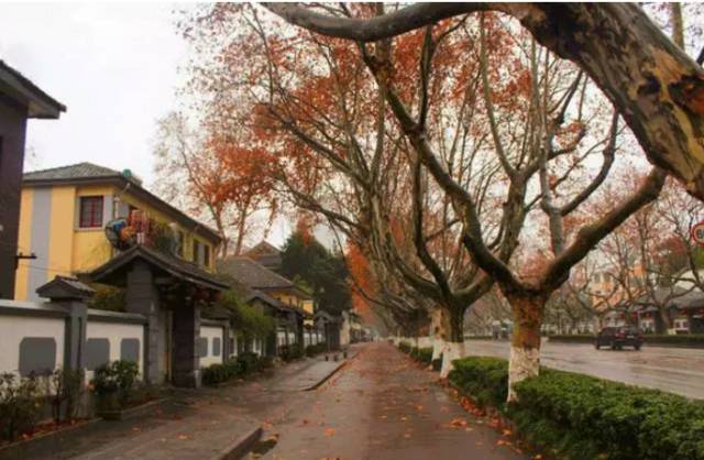 二百块钱玩南京一天,南京有哪些不要钱的游玩地方