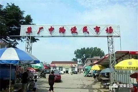 秦皇岛哪的海鲜便宜实惠,秦皇岛海鲜去哪吃最便宜