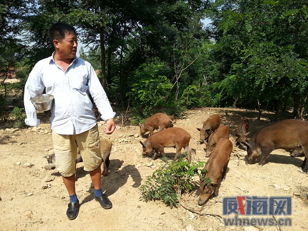 威海残疾人创业扶持政策,威海市残疾人创业补贴