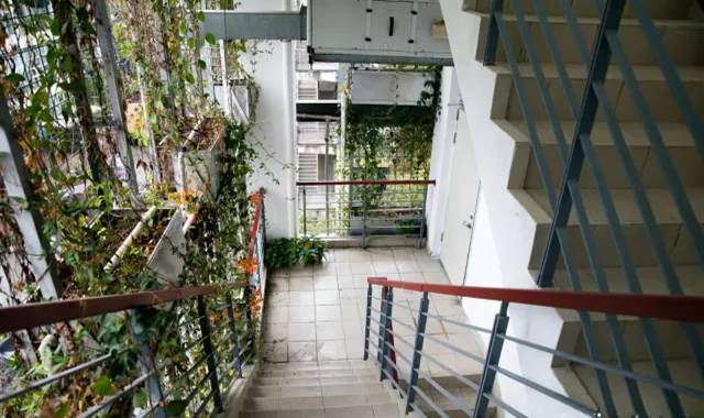 鹿晗和关晓彤的定情之作,鹿晗和关晓彤真的成为了情侣吗