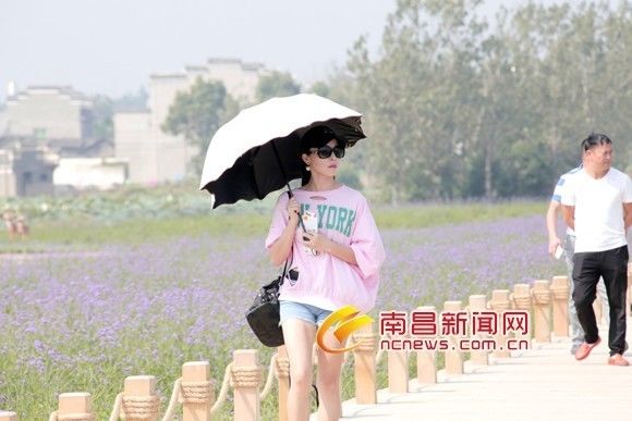 红谷十二庭现状,红谷十二庭四期装修