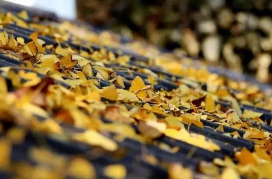 秋天必打卡的地方,石柱秋天打卡