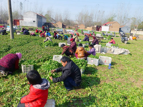 以大带小以小见大,以大带小促进共赢发展