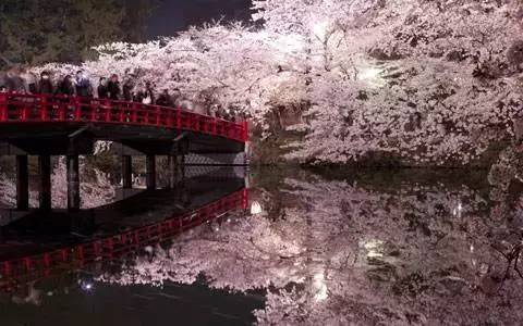 日本旅游不注意这些问题,日本旅游不签证会怎么样