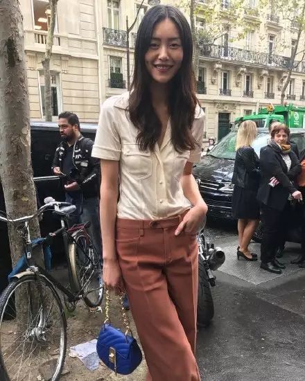 刘雯唐嫣同款小猪包,刘雯背的新款包是什么品牌