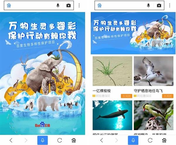 百度贴吧被全吧封禁,百度贴吧封禁账号怎么办