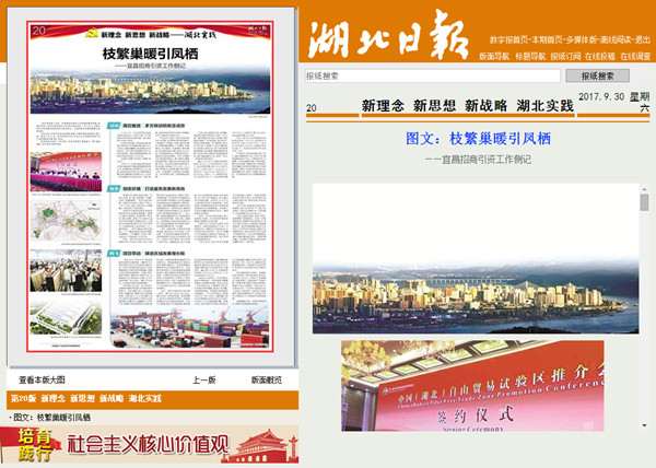 枝繁巢暖引凤栖什么意思,枝繁巢暖引凤栖的缺点