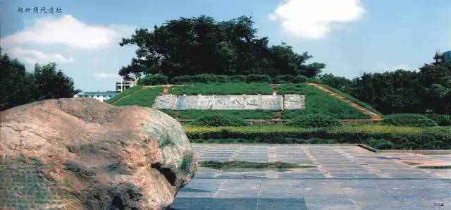 这些令人不可思议的冷知识,这些奇特的冷知识你们知道吗