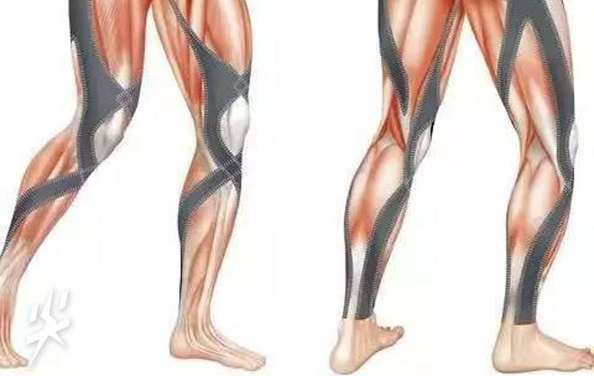 尖货QA：Vol.10压缩衣的高科技真的有效么？