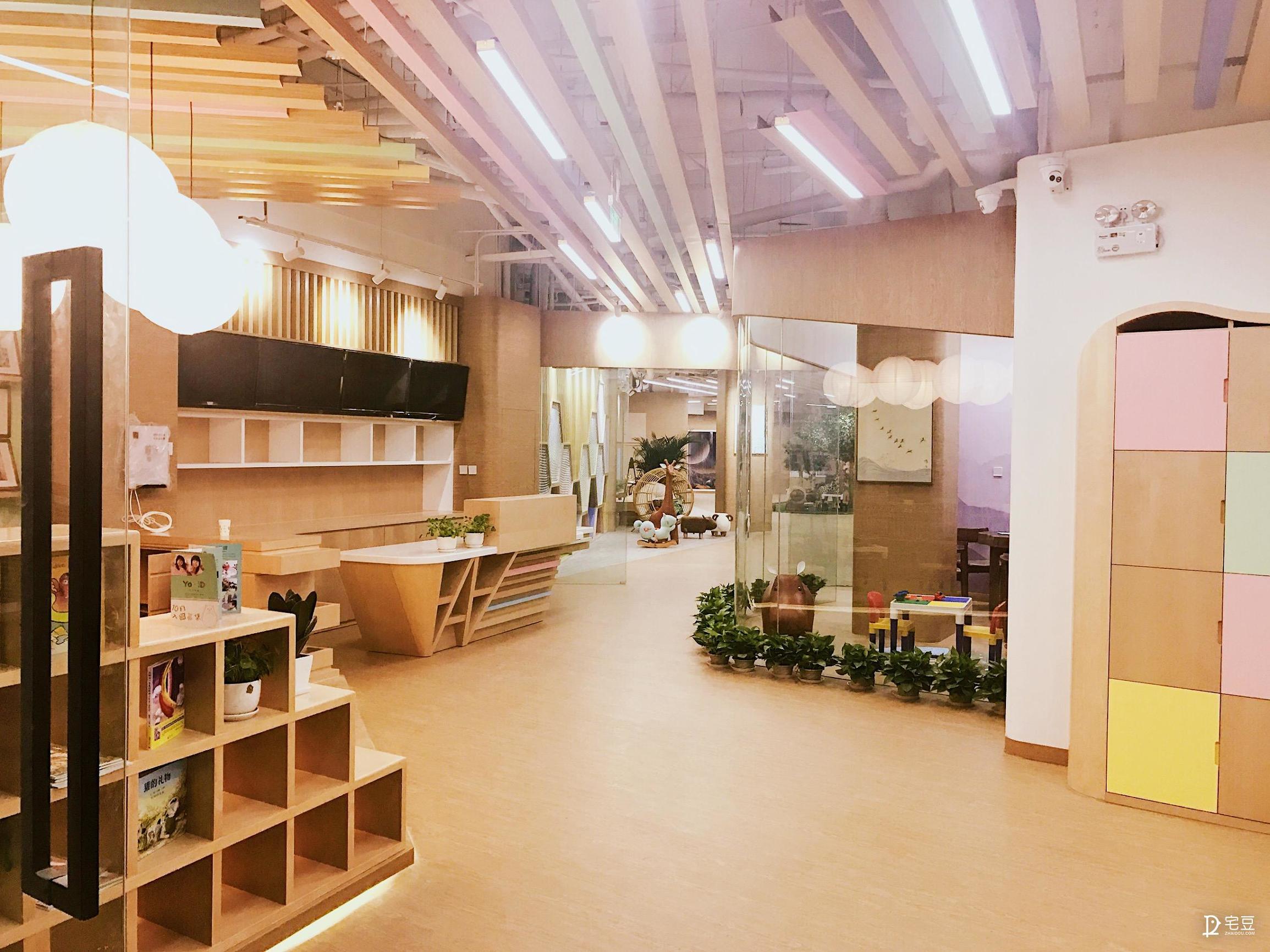 原始森林？动物园？银河系？托儿中心大改造