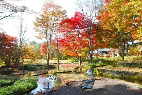 虹夕诺雅酒店测评,虹夕诺雅酒店是什么档次