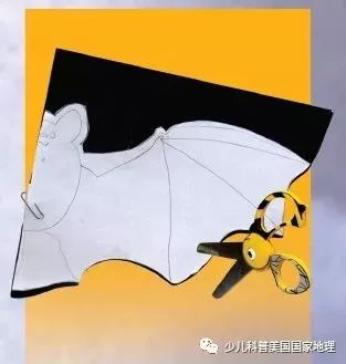 万圣节手工的小饰品,万圣节小饰品制作方法