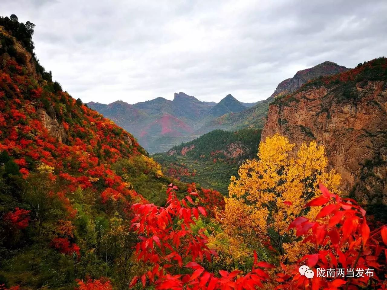 「精彩预告」两当县首届太极拳比赛暨赏红叶活动日程早知道