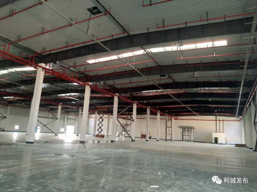 拥抱新时代|插上腾飞的翅膀——近五年柯城区物流产业发展回顾