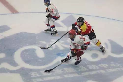 加拿大冰球最新消息,加拿大为什么会那么热